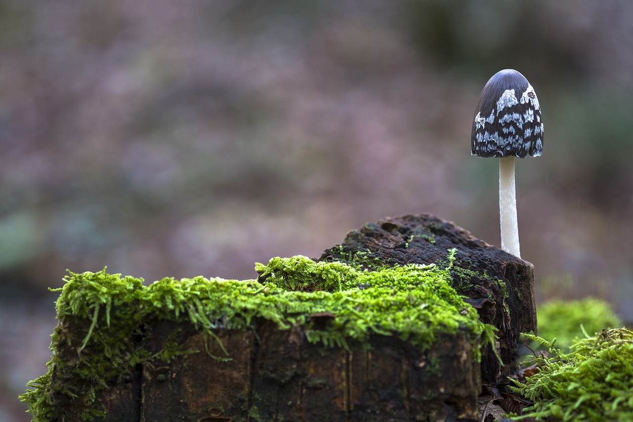 雨衣 第39页