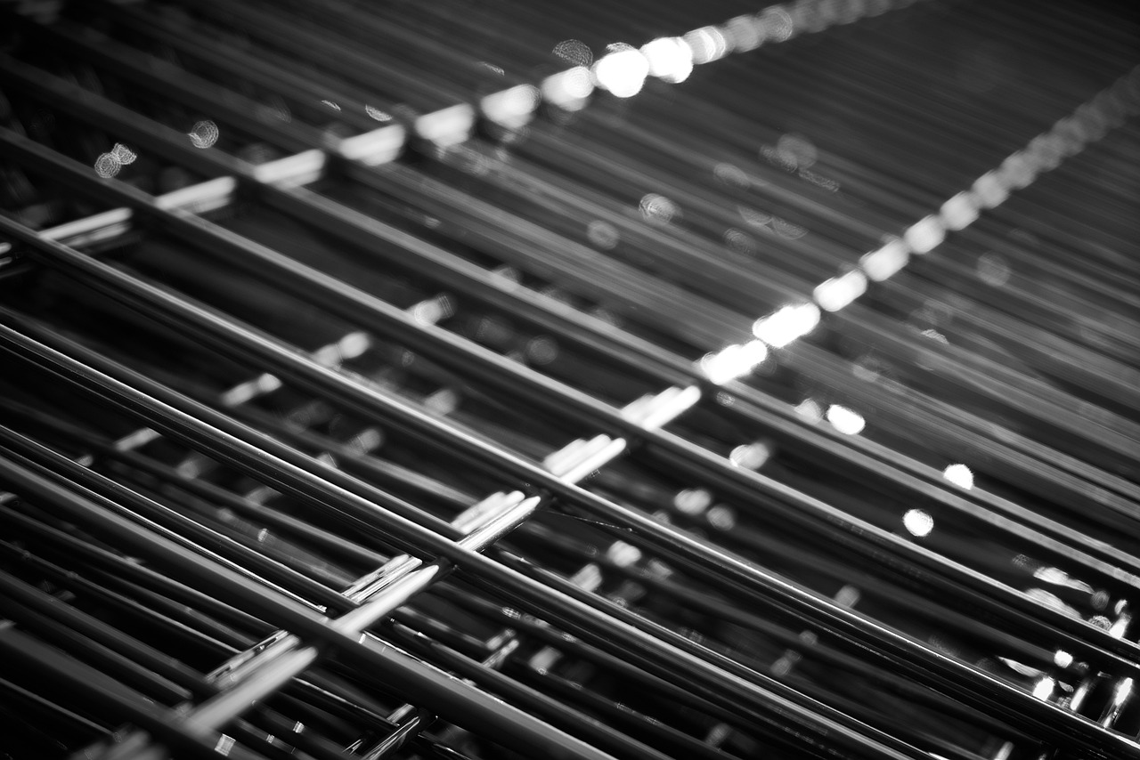 辽宁玉米价格最新行情及分析概述