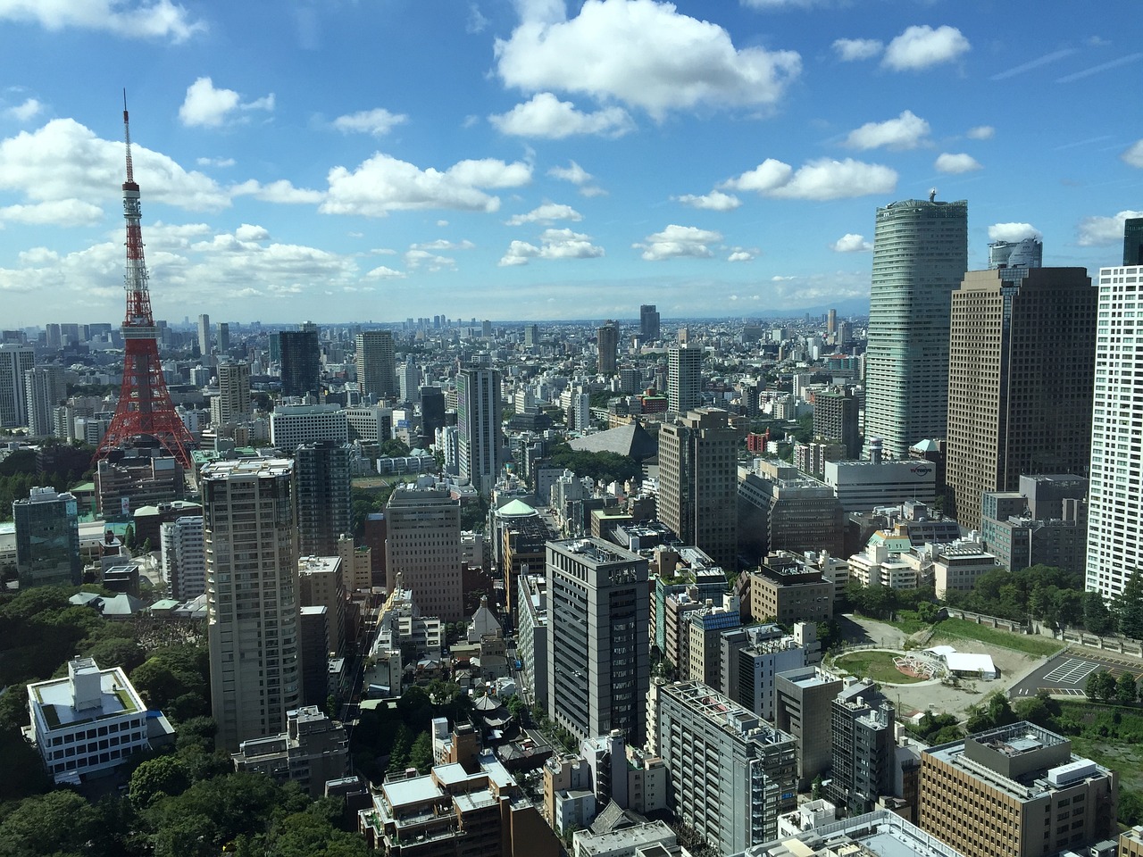 新余国科最新消息全面解读与分析