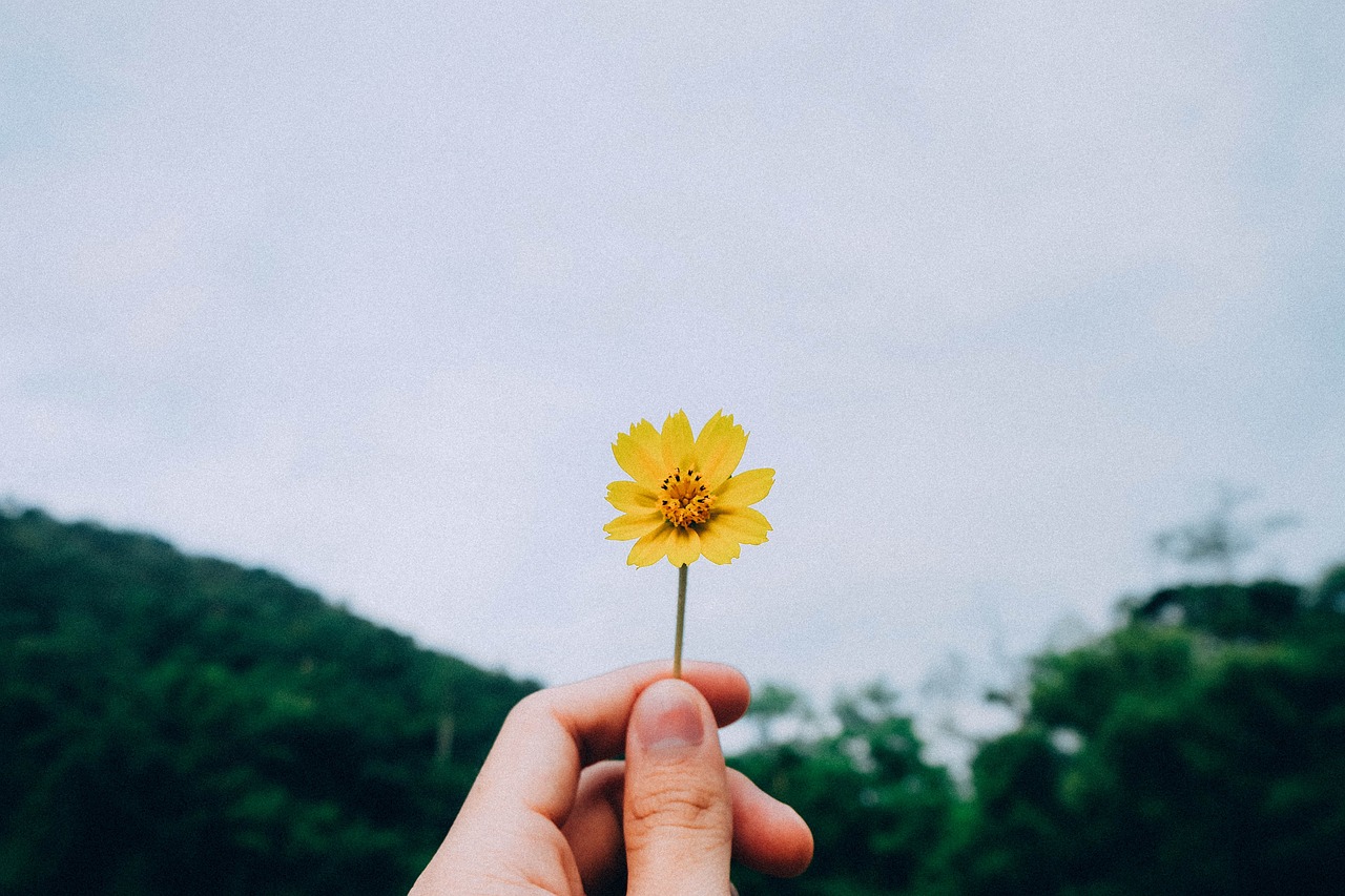 王志 第29页