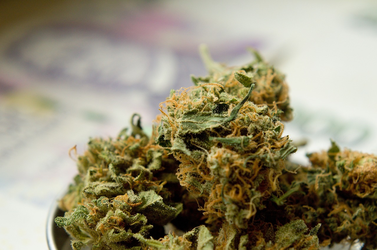 张国荣 第28页